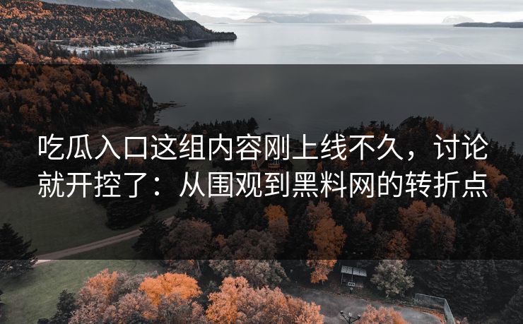 吃瓜入口这组内容刚上线不久，讨论就开控了：从围观到黑料网的转折点