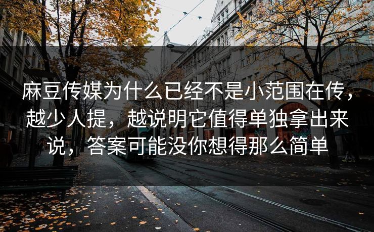 麻豆传媒为什么已经不是小范围在传，越少人提，越说明它值得单独拿出来说，答案可能没你想得那么简单