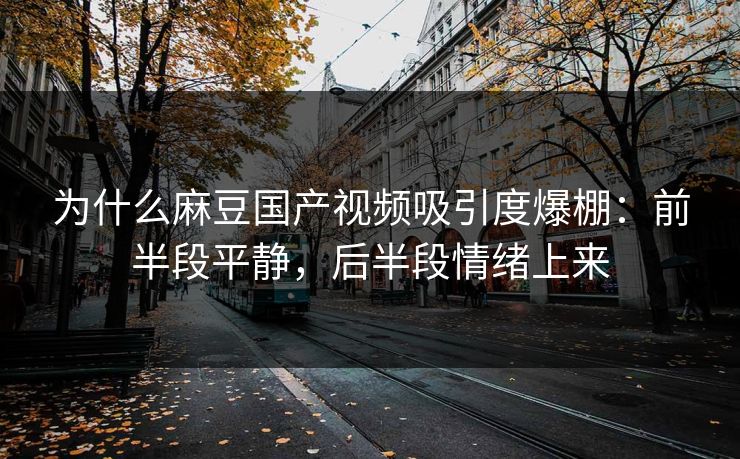 为什么麻豆国产视频吸引度爆棚：前半段平静，后半段情绪上来