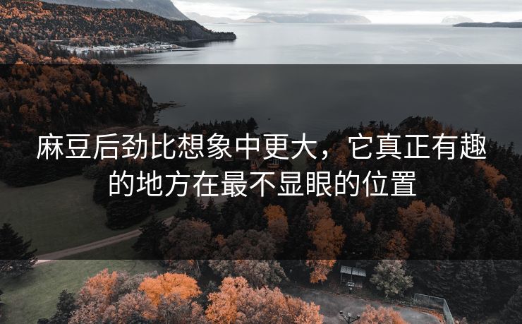 麻豆后劲比想象中更大，它真正有趣的地方在最不显眼的位置