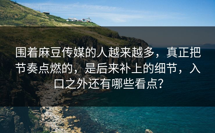 围着麻豆传媒的人越来越多，真正把节奏点燃的，是后来补上的细节，入口之外还有哪些看点？