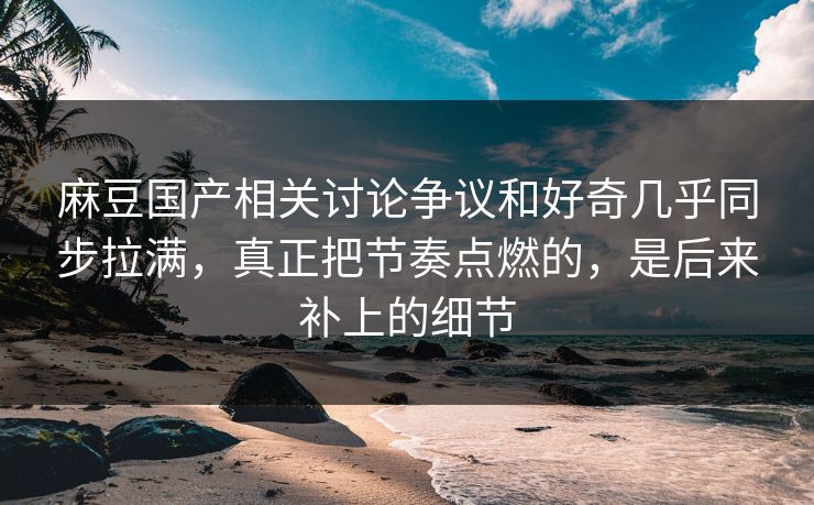 麻豆国产相关讨论争议和好奇几乎同步拉满，真正把节奏点燃的，是后来补上的细节