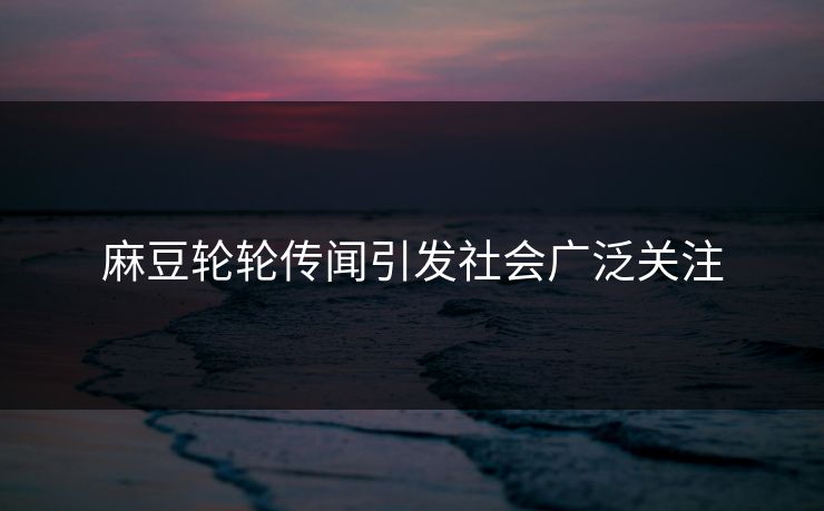 麻豆轮轮传闻引发社会广泛关注
