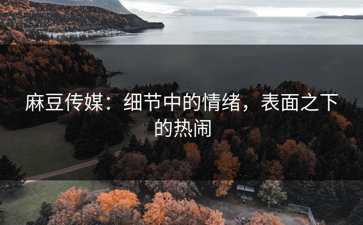 麻豆传媒：细节中的情绪，表面之下的热闹