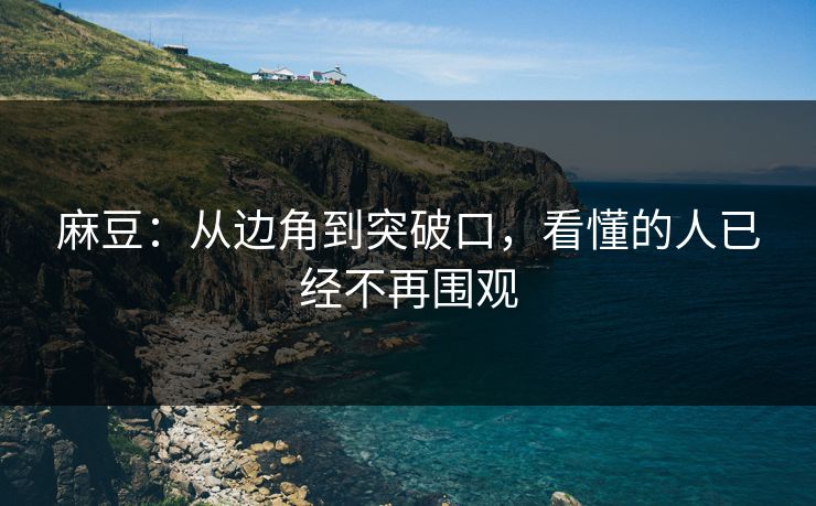 麻豆：从边角到突破口，看懂的人已经不再围观