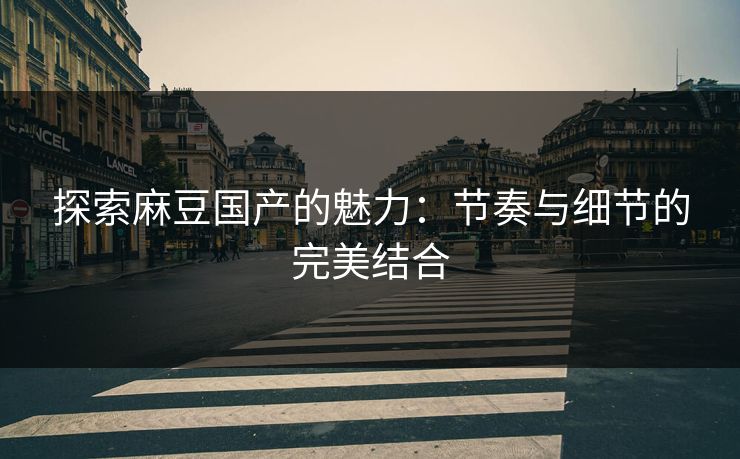 探索麻豆国产的魅力：节奏与细节的完美结合