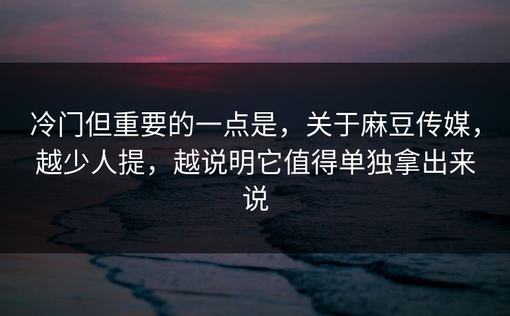 冷门但重要的一点是，关于麻豆传媒，越少人提，越说明它值得单独拿出来说