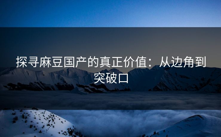 探寻麻豆国产的真正价值：从边角到突破口