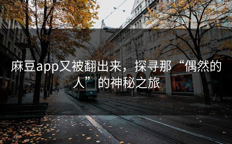 麻豆app又被翻出来，探寻那“偶然的人”的神秘之旅